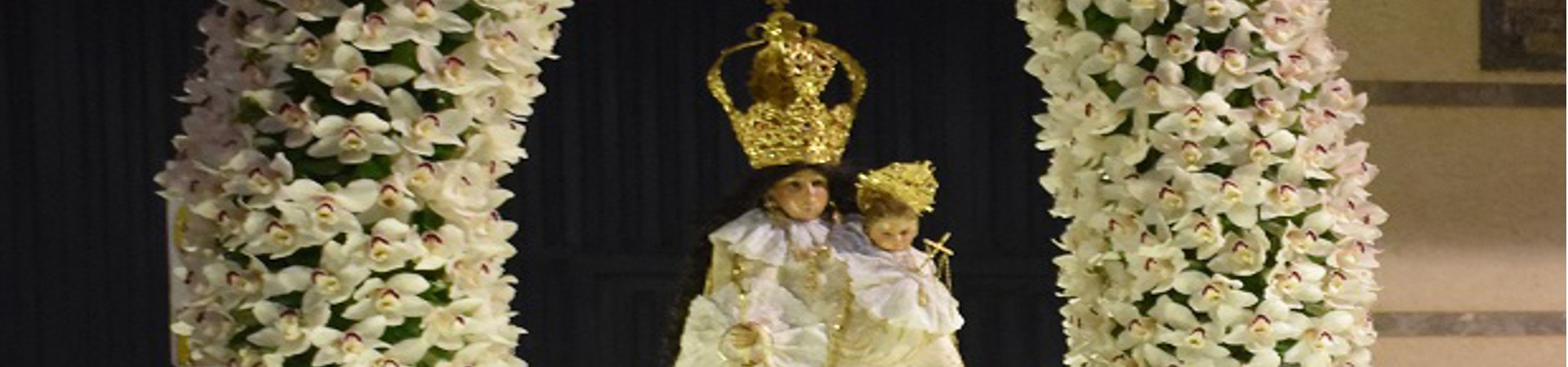 Patrona