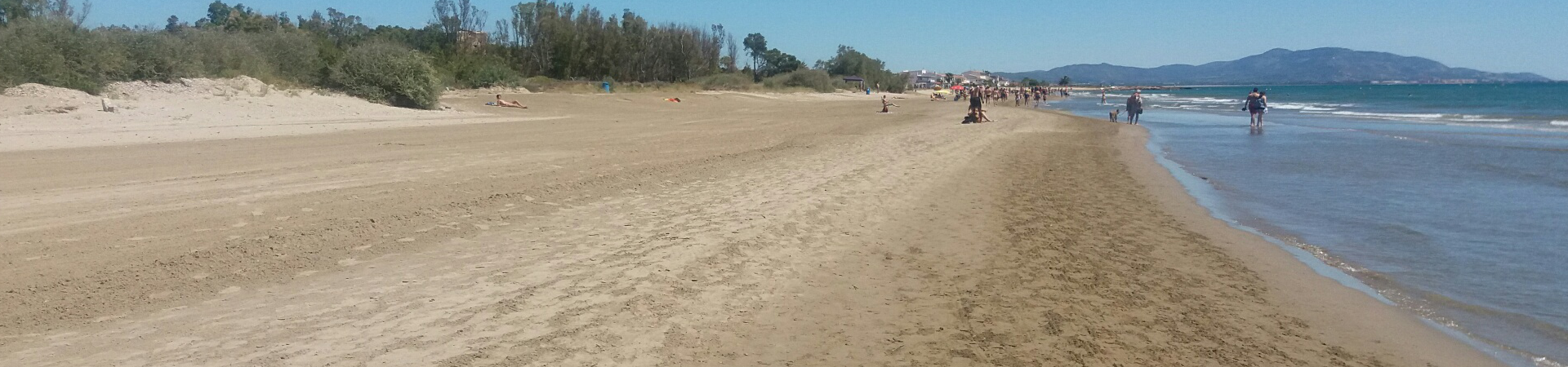 playa TLS
