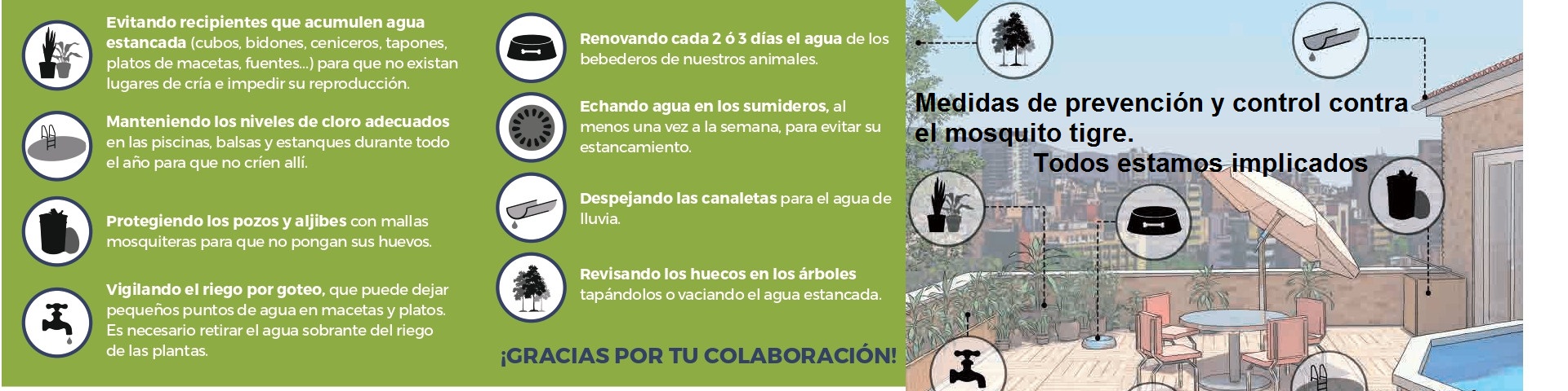 portada mosquitos