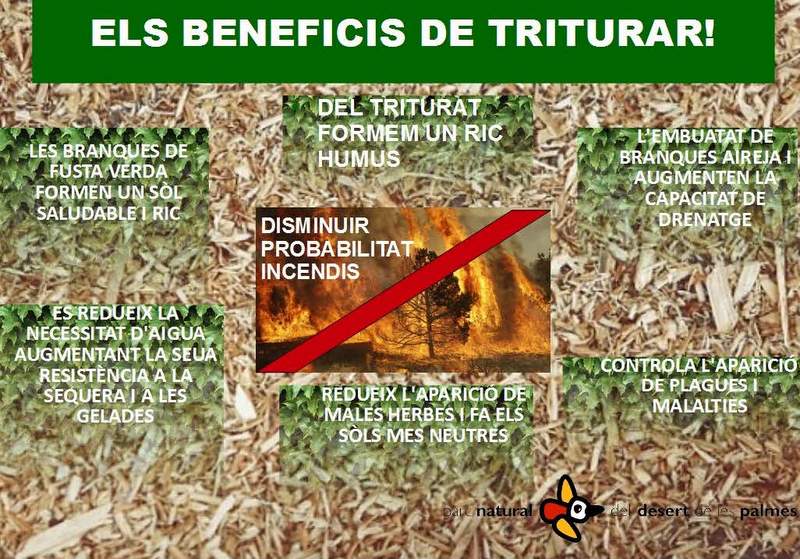 CARTELL / CARTEL