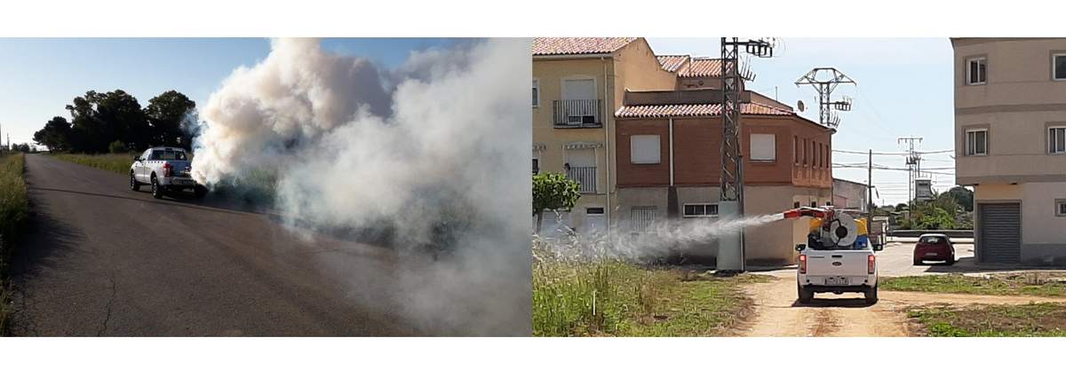 TRACTAMENT /TRATAMIENTO