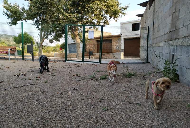 PARQUE CANINO / PARC CANÍ