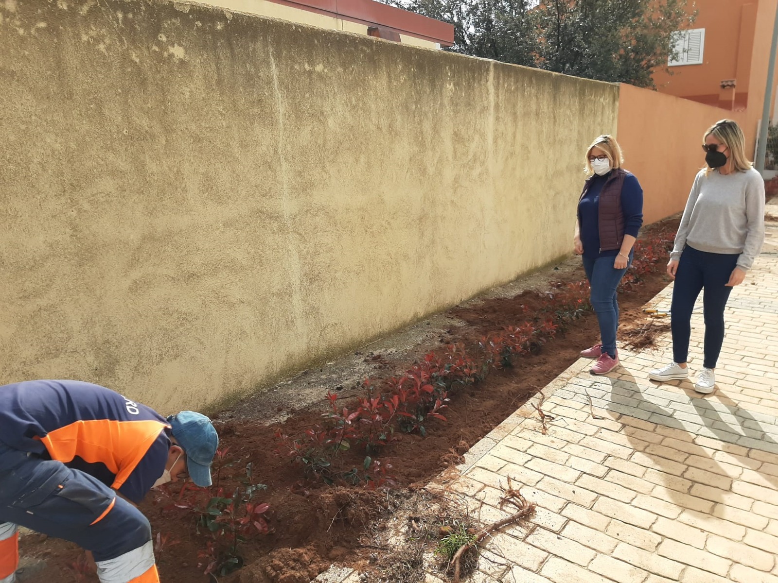 Cabanes mejora la jardinería de La Ribera