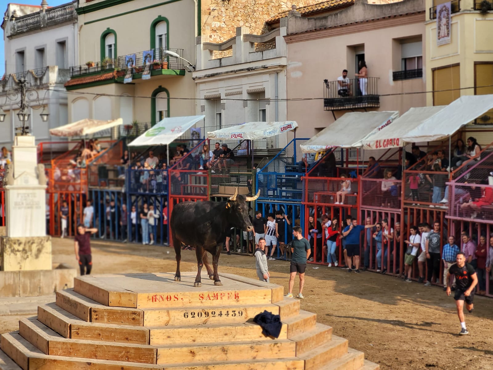 Activitats taurines / Actividades taurinas