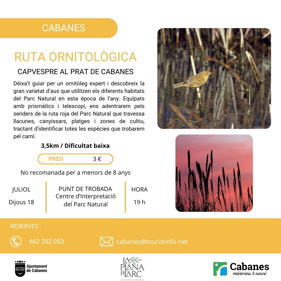 Cabanes pone en valor su rica diversidad de aves con excursiones hasta noviembre